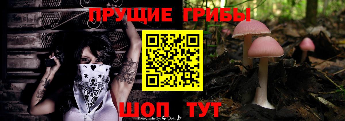 Тольятти  Псилоцибиновые грибы Psilocybe  Вход с VPN 