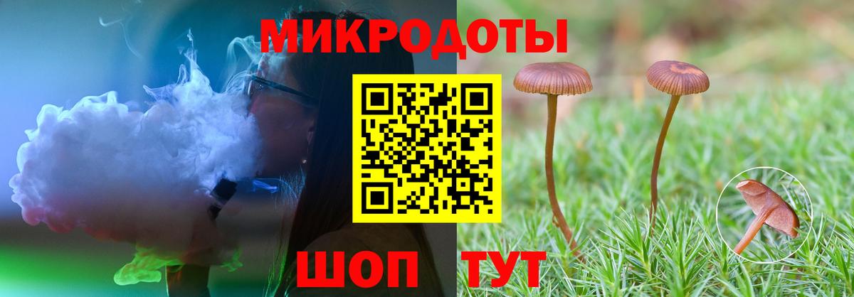 Галлюциногенные грибы Psilocybine cubensis Тольятти