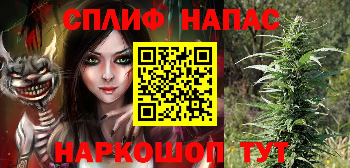 Конопля сатива Тольятти